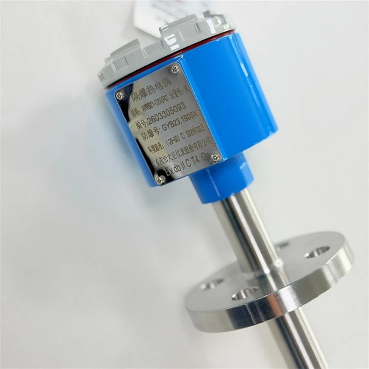 Type B Precious Metal Explosion-Proof Thermocouple suppliers